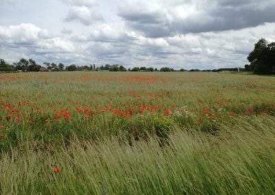 De omgeving van Atelier de Barsend